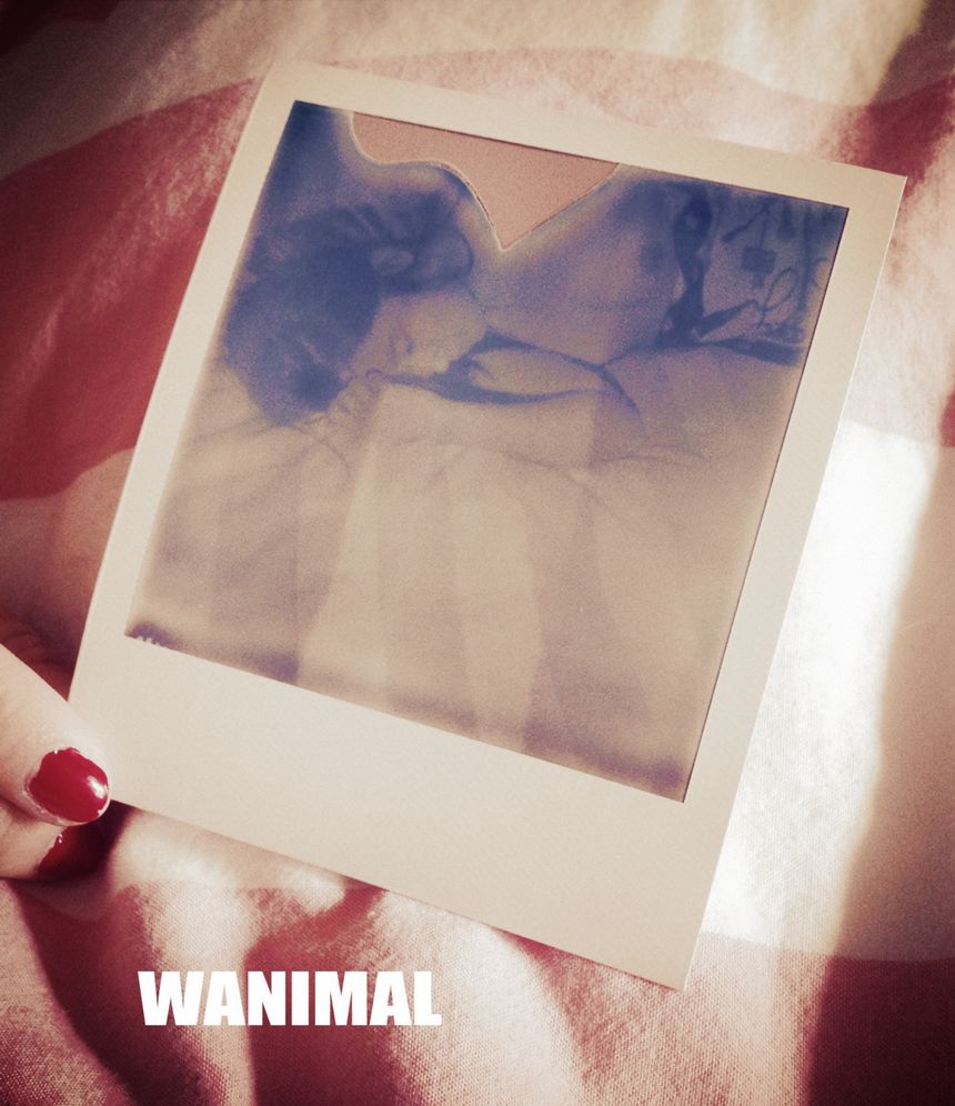 (ʮ) [100P] ʥ ͼ WANIMALƷ 1ҳ