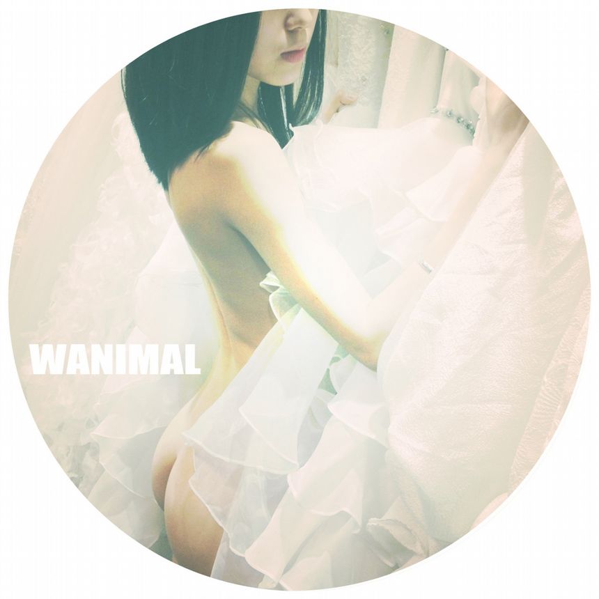 WANIMALƷ () [71P] ͼ ʥ 1ҳ